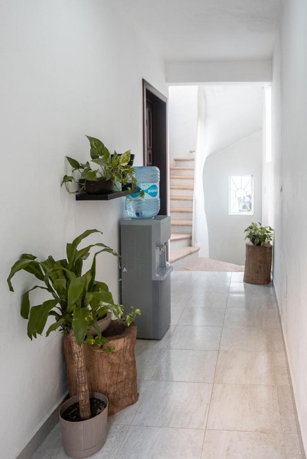 Xiinbal Rooms Bacalar Eksteriør billede